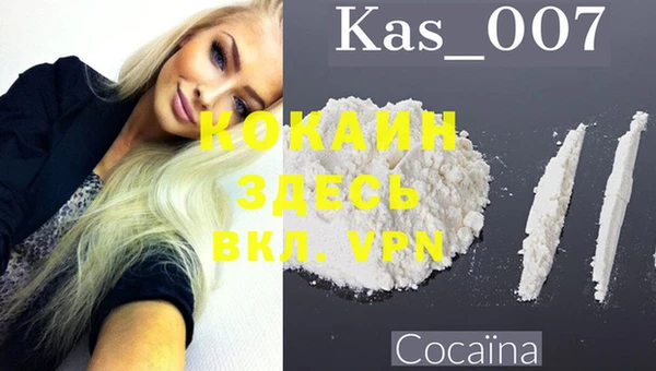 ECSTASY Белокуриха